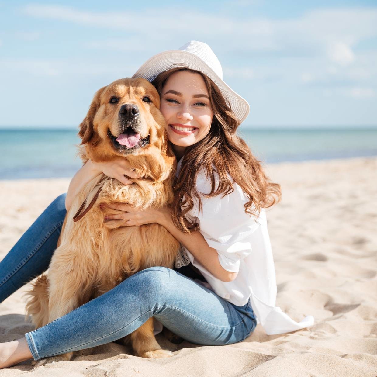 Dog Friendly Hotel In Laguna Beach Laguna Beach House