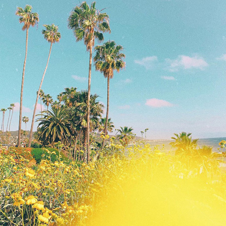 Laguna skyline