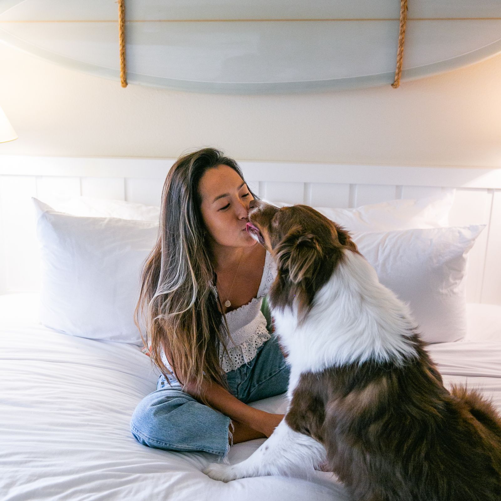 Dog Friendly Hotel In Laguna Beach Laguna Beach House